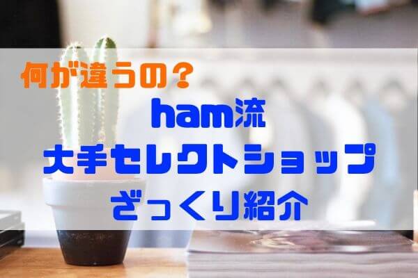 何が違うの Ham流 大手セレクトショップざっくり紹介 感覚的にご説明 Ham S Fashion Blog