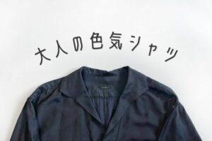 COMOLIのウールシルクスキッパーシャツを買ったので自慢したい【大人の 